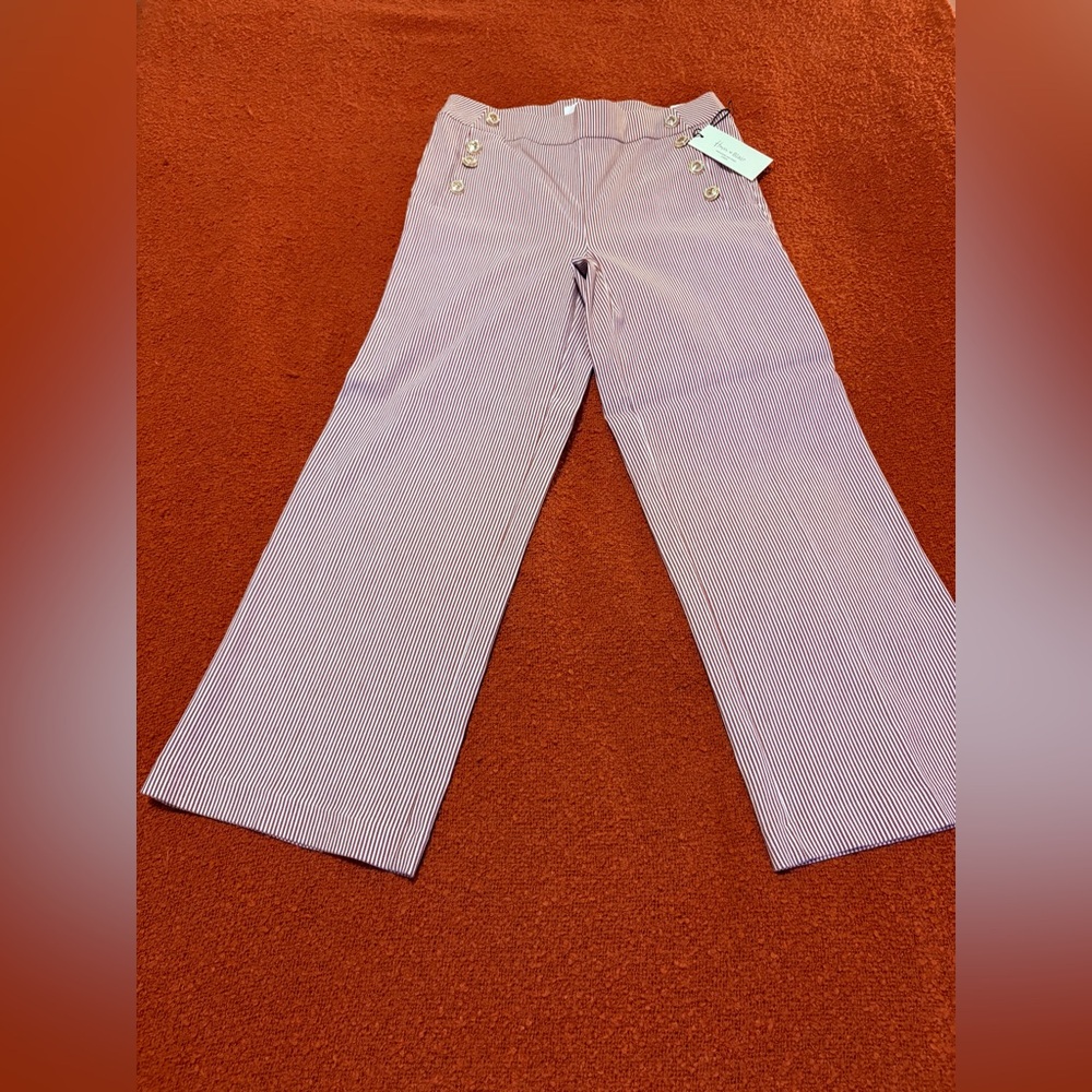 NWT - Striped Wide-Leg Cropped Pants with Button Detail